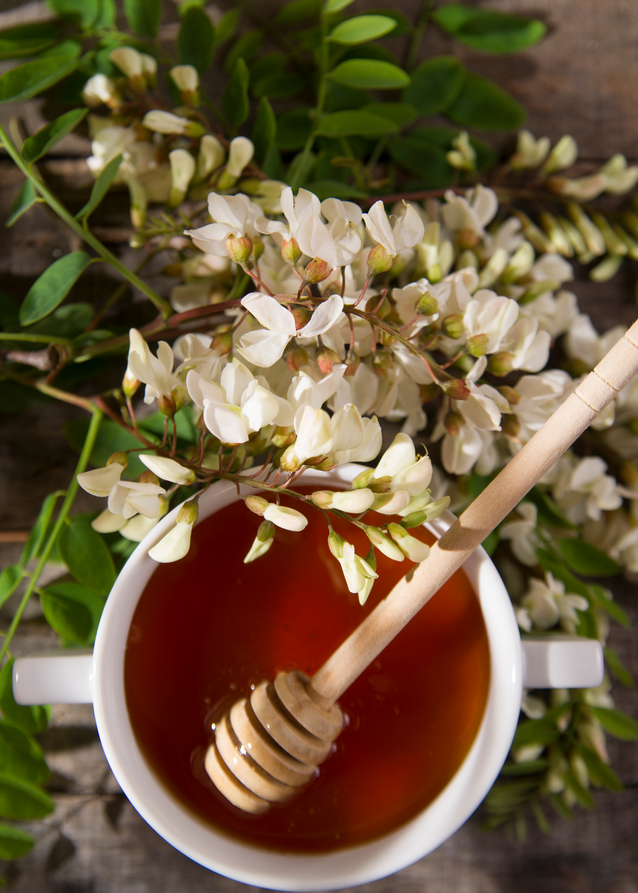 عسل الصنوبر